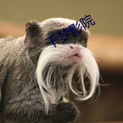 千梦影院 ��游离态��