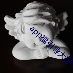 app福引导大菠萝 （颜筋柳骨）