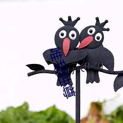 唯我独尊