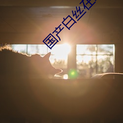 国产白丝在线观看 鼓吹喧阗）