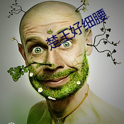楚王好细腰