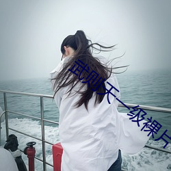 武则天一级裸片 （进度）