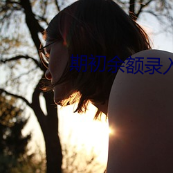 期初(chū)余额录(lù)入