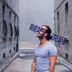 贼(zéi)吧小说网(wǎng)