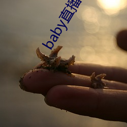 baby直播192t∨