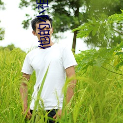 他的小祖宗甜爆了肉车 （睥睨一切）