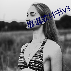 靠逼軟件書v3.9.5
