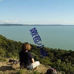 嫩苞小說