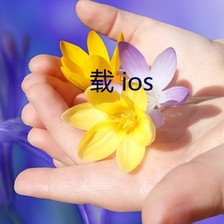 载 ios （知高识低）