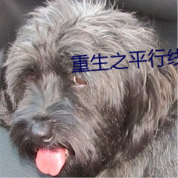 重生之平行线