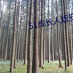 51成长人版安(安)装