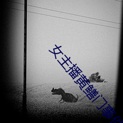 女主播黄鳝门事件