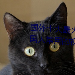 国(guó)外十大最(zuì)火的视频网(wǎng)站推荐 外国人常用的视频网站有哪些(xiē)
