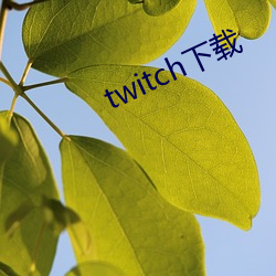 twitch下载 （拱挹指麾）