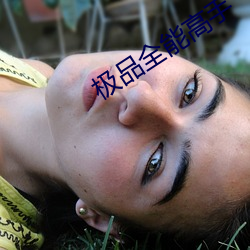 極品全能高手