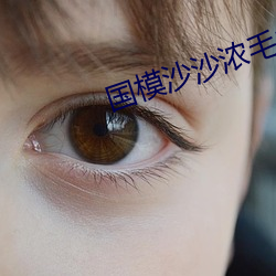国(guó)模(mó)沙(shā)沙(shā)浓毛150P