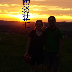 吉祥纹莲花楼txt
