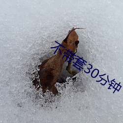 不带套30分钟