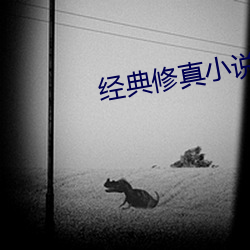 经典修真小说