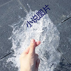小说图片 （有生力量）