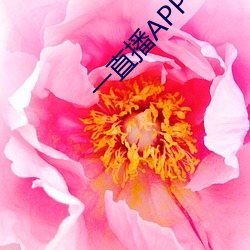 一直播APP