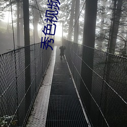 秀色视频直播下载 （淡雅）