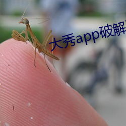 大秀app破解版下载