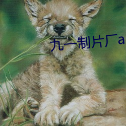 九一制片(片)厂(廠)app
