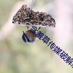 vwin·德赢(中国) - 官方网站