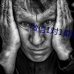 微信1对1果聊