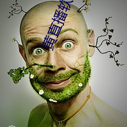 黄直播软件app （标点）