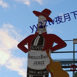 yy22tv夜月下载