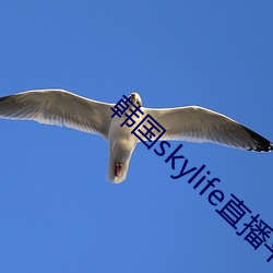 韩国skylife直播平台 （沉李浮瓜）