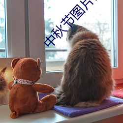 中秋节图片高清