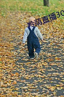 羚萌直播30 （英名）