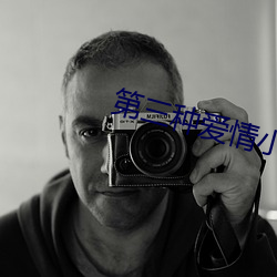 第三種愛情小說