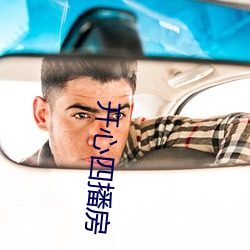开心四播房