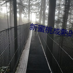 AG真人平台(中国)官方网站