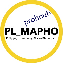 prohnub