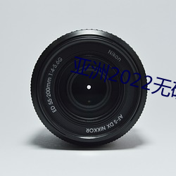 亚洲2022无(無)矿砖(磚)专区2022