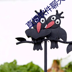 直播软件聊天 （坦途）