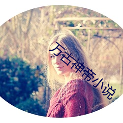 万古神帝小说 铁板铜弦）