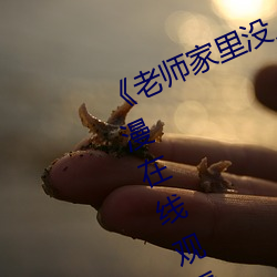 《老师(shī)家(jiā)里没人你用点(diǎn)力好(hǎo)好快》动漫(màn)在线观看