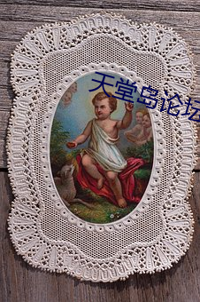 天堂岛(島)论坛(壇)