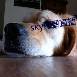 sky付费(費)直播下载(載)