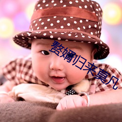 赘婿归来(來)莫凡(凡)