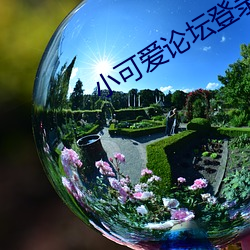 小可爱论坛登录