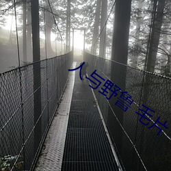 人与野鲁 毛片(片)