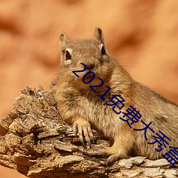 2021免费大秀盒子