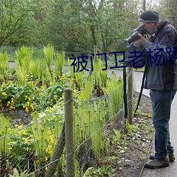 被门卫老杨蹂躏的校花小说